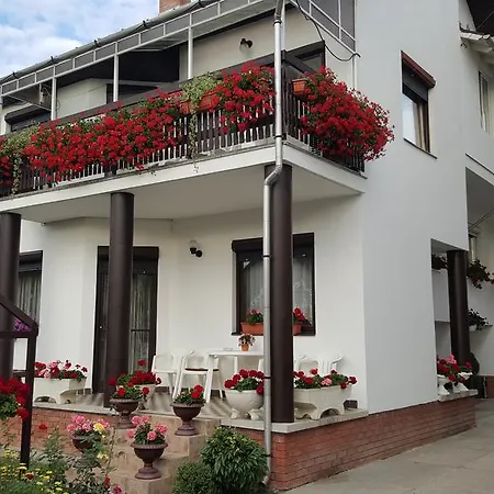 住宿加早餐酒店 Anna Vendeghaz 塞格德